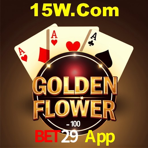 Interface Premium Bet29 App